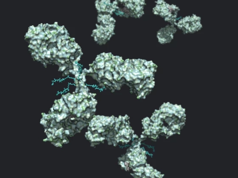 Navigating CMC challenges in NBE and therapeutic antibody development