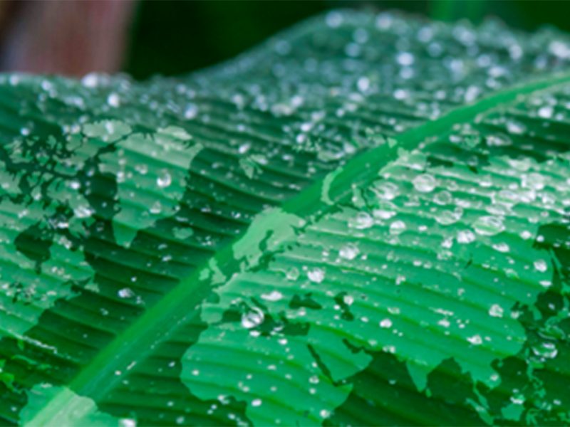 Net zero pharma: six steps for achieving sustainability on site