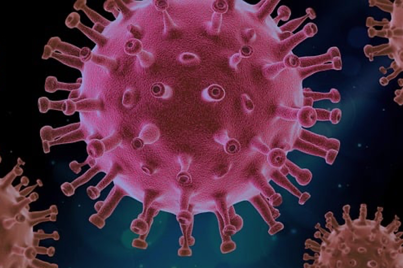 New FAIRY viral assay could 'revolutionise' the response to future pandemics