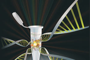 New Kapa Express Extract – from sample to PCR in less than 15 minutes
