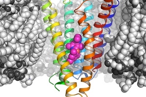 New programme focused on GPCR target implicated in brain cancer 