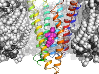 New programme focused on GPCR target implicated in brain cancer 