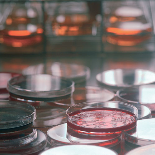 New technology is key to increasing lab productivity