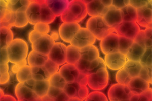 New technology is key to increasing lab productivity