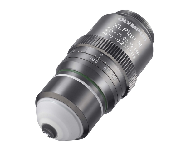 New Water Immersion Objective Designed For Multiphoton Imaging