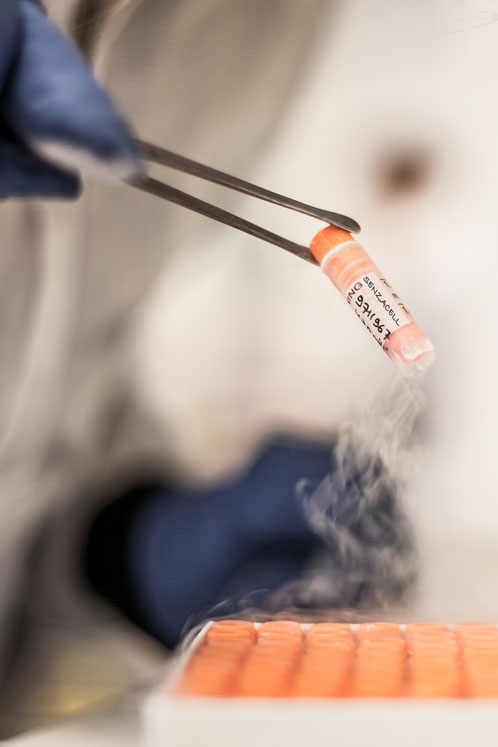 Next-generation safety testing