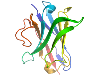 Novel Nanobody to begin clinical development in osteoarthritis