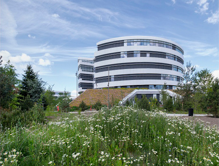 Novo Nordisk and MIT extend oral delivery tech collaboration