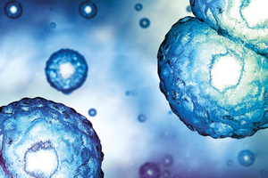 Novo Nordisk enters distribution agreement for quats
