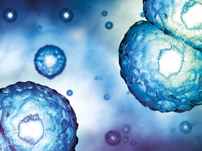 Novo Nordisk enters distribution agreement for quats
