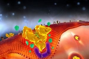 Novozymes Biopharma highlights potential for monthly drug dosing