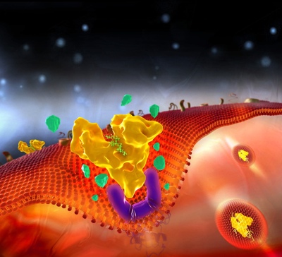 Novozymes Biopharma highlights potential for monthly drug dosing