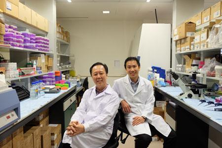 NTU Singapore and SingHealth to develop innovations to improve patient care
