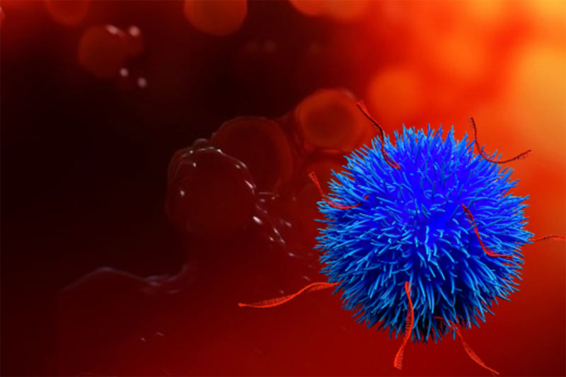Nuvec nanoparticles successfully target lung cancer cells