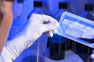NY private equity firm acquires Nelipak