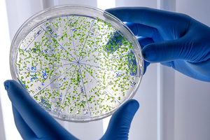 Olon presents a two-year plan of investments to expand capacity and capability to develop therapeutic peptides