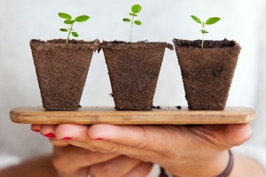 Olon publishes annual sustainability report for 2023