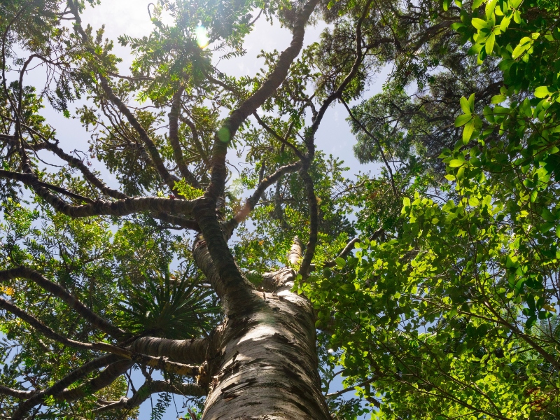 Olon publishes annual sustainability report for 2022