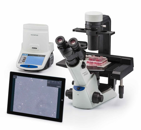Olympus CKX-CCSW software delivers fast, accurate cell counts for cell culture confluency measurements 