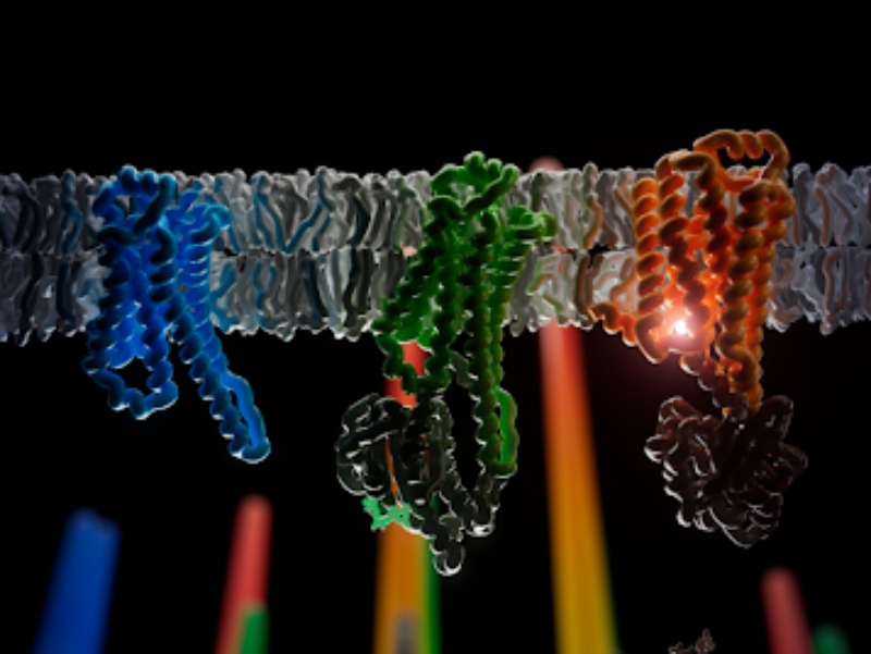 OMass Therapeutics and Nature Chemistry present native mass spectrometry research