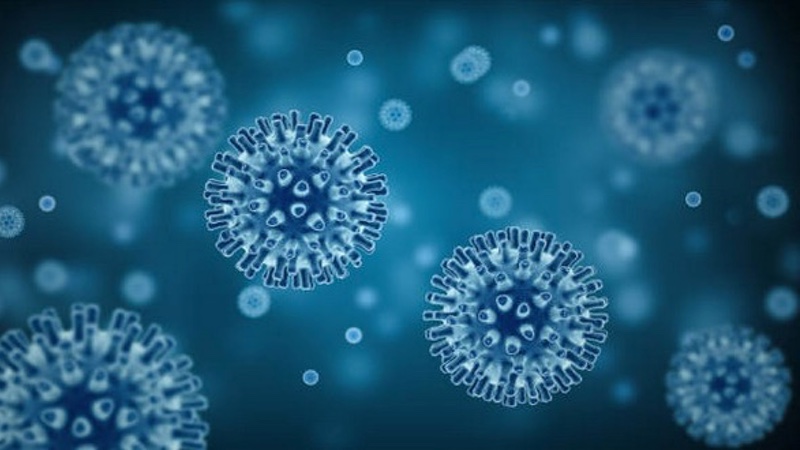 Oncolytics Biotech collaborates with SOLTI