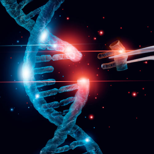 Opening new doors to precision medicine with single-stranded DNA (ssDNA): part I