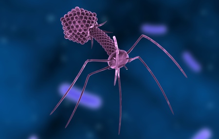 Opening the door to phage therapy