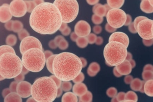 Orbit partners Orano on peptide radionuclide therapies