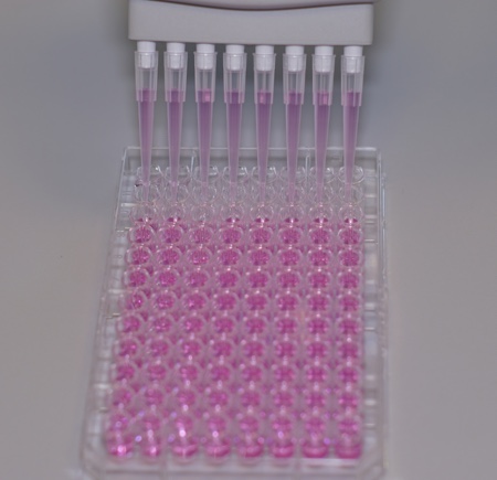 Orla introduces new growth factor protein surfaces