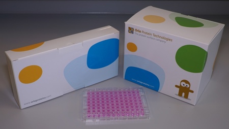 OrlaExplorer enables optimal cell culture surfaces to be determined quickly