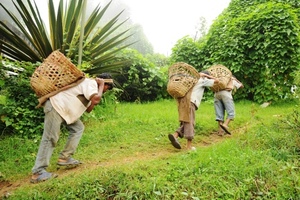 Outsourcing with ethics and sustainability in mind 