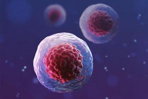 Overcoming cell separation challenges to advance stem cell therapy research