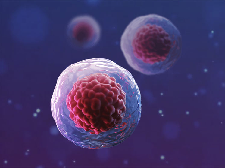 Overcoming cell separation challenges to advance stem cell therapy research