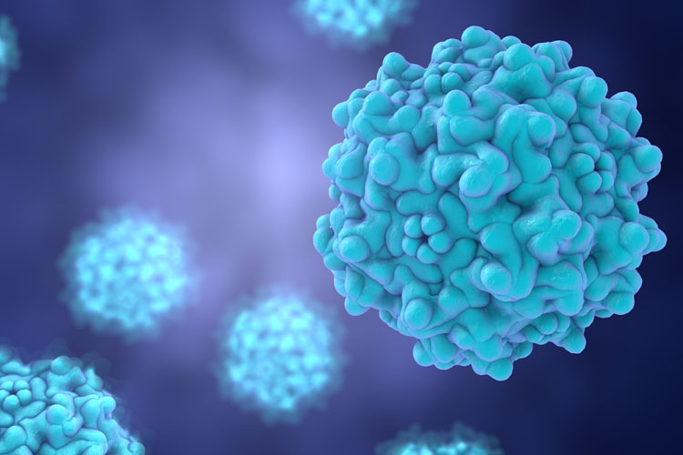 Overcoming CMC challenges in cell and gene therapy: part II