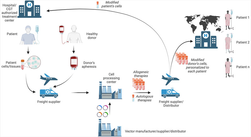 Overcoming CMC challenges in cell and gene therapy: part I