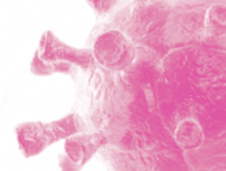 Oxford Uni consortium supports large-scale COVID-19 vaccine manufacturing