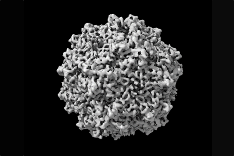 PCR-ELISA proves problematic in gene therapy measurement, determines NIST study