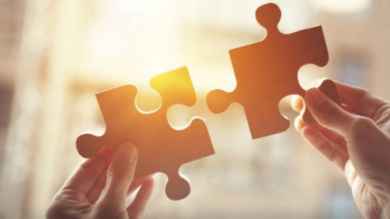 Pfizer and CYTOO develop DMD target discovery platform 