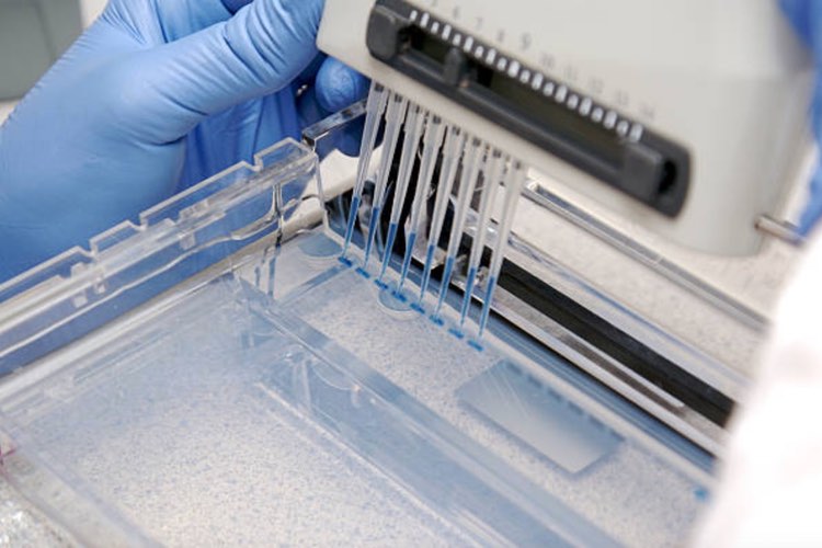Pfizer buckles down on gene therapy with half-billion-dollar investment