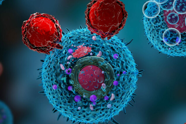 Pharma turns to CD8 in vivo imaging to predict response to immunotherapy