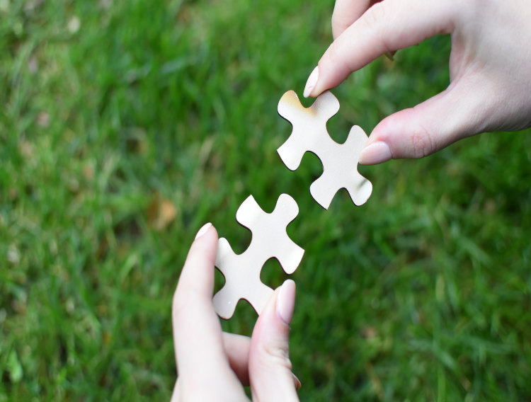 PharmaLex and Phlexglobal announce merger