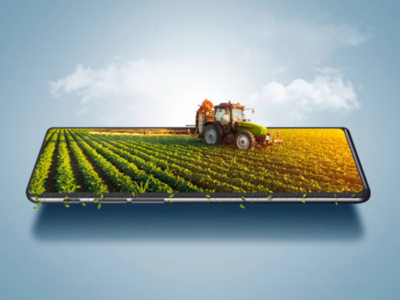 Phytome moves to develop AI-driven technologies in pharmaceutical agriculture