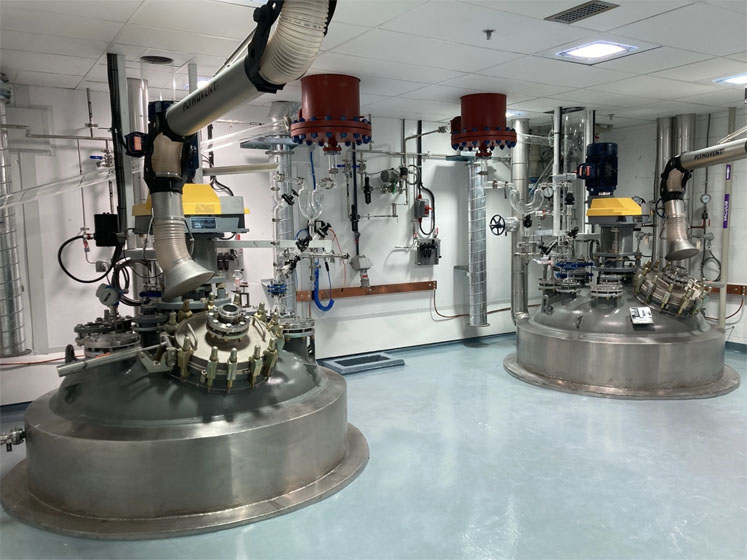 Piramal Pharma Solutions' new API plant in Canada goes online