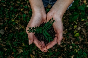 Planting the sustainability seed: Cytiva updates product introduction process