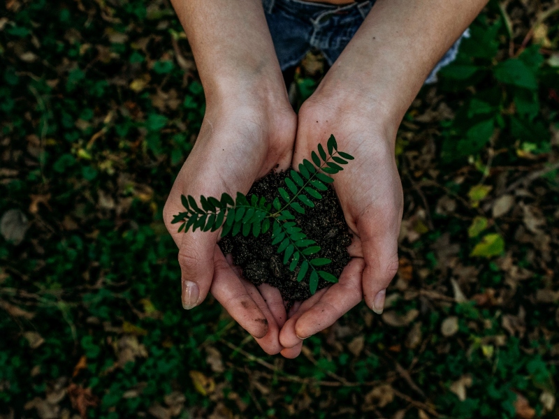 Planting the sustainability seed: Cytiva updates product introduction process