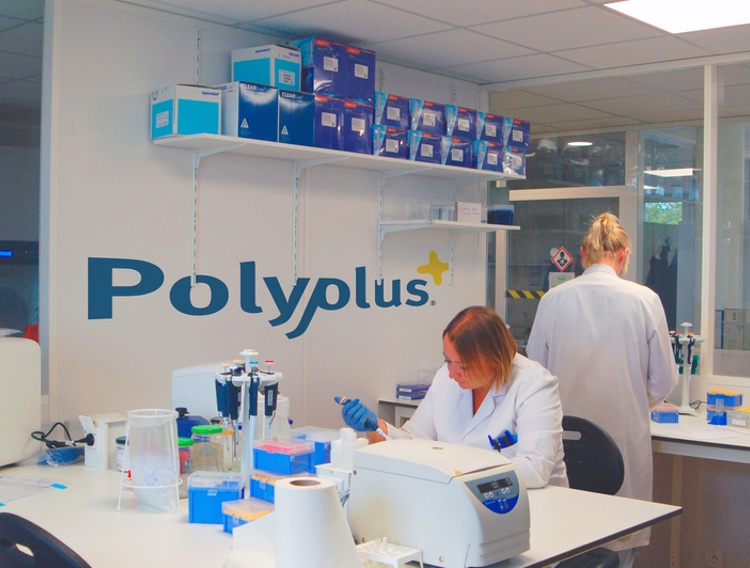 Polyplus launches transgene plasmid engineering services for viral vector manufacturing