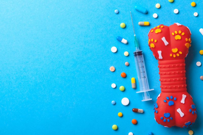 Prange Pharma to acquire MSD Animal Health manufacturing site in Aprilia, Italy