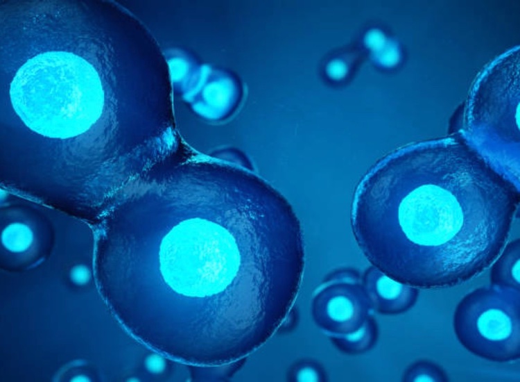Precigen opens cell and gene therapy facility in Maryland
