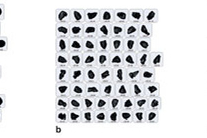 Predicting powder flow and behaviour