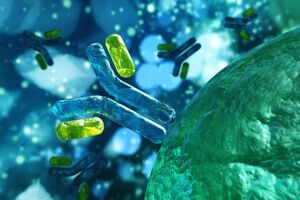 Prellis biologics partners with Eli Lilly to advance next-generation human antibody therapeutics